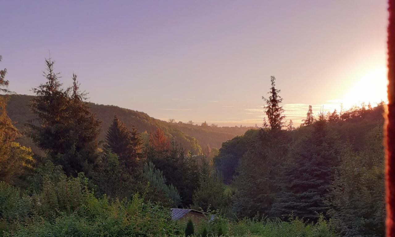 Talblick 2 - Ihr Zuhause : Das Ferienhaus Mitten Im Idyllischen Tal Bad Bibra Dış mekan fotoğraf