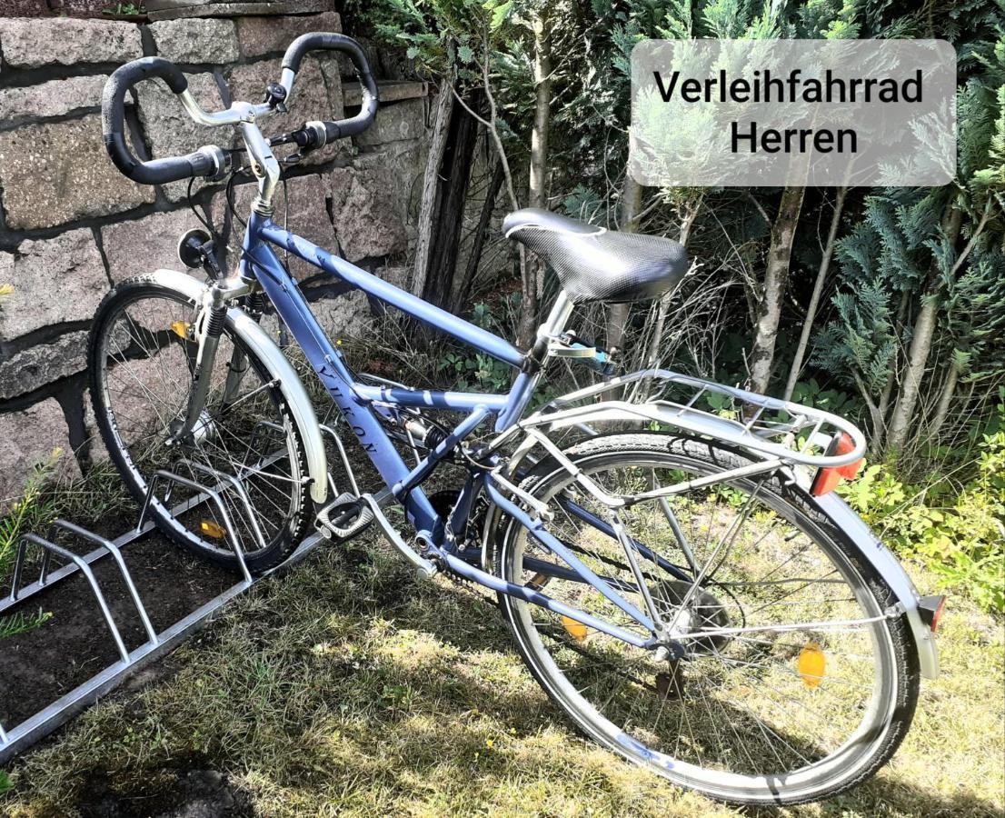 Talblick 2 - Ihr Zuhause : Das Ferienhaus Mitten Im Idyllischen Tal Bad Bibra Dış mekan fotoğraf